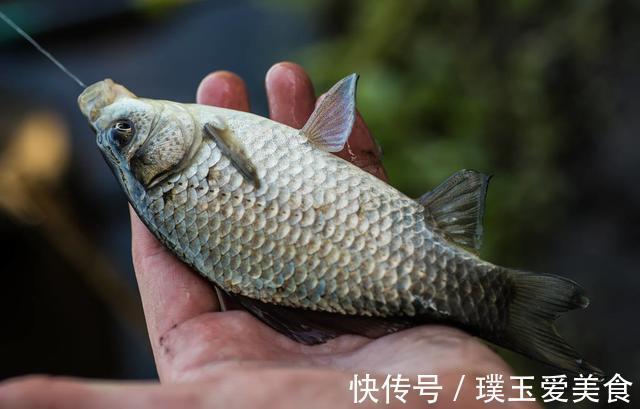 钓浮|钓鲫鱼时出现两大特征，立即改钓底为钓浮，新手爆护也不难