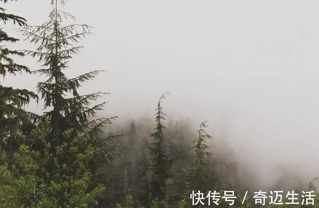 陆凯#诗词丨史上最美的8首短诗,首首经典,谁读了都会心醉