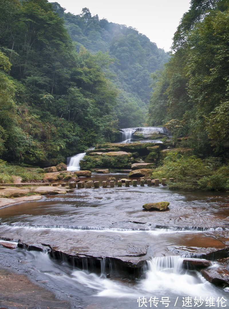 长滩|赤道附近保存比较完整的原始森林 开学季来这里写生 不虚此行