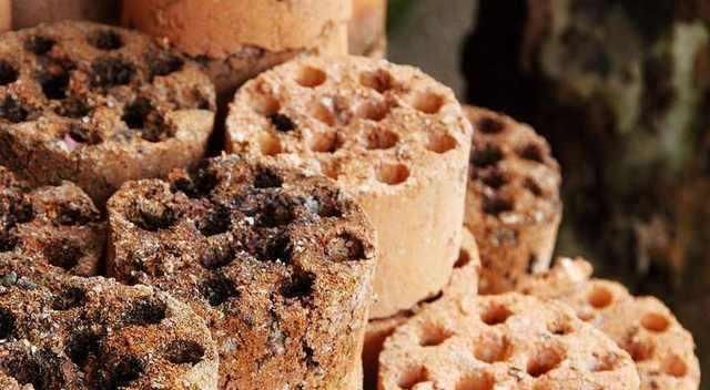 煤渣|养花不烂根,捡来小东西垫在盆底,叶绿根壮猛开花