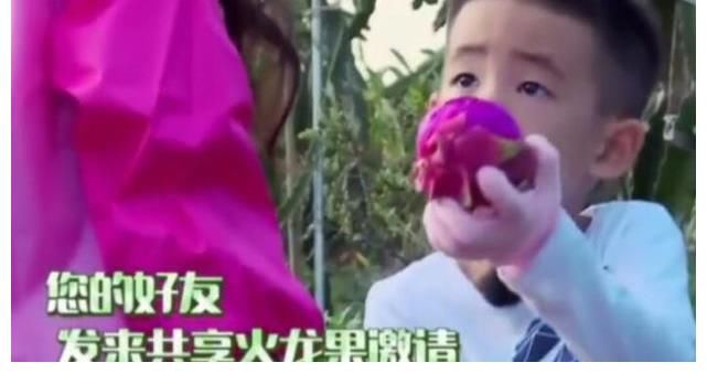 小春|陈小春小丑装VS Jasper吃火龙果,场面太美,哈哈哈哈哈笑不活了