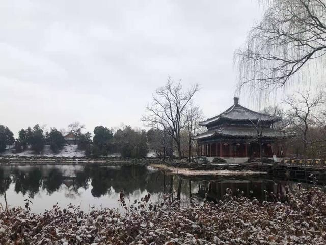 醉东风|2021年第一场雪，圆明园春雪风光