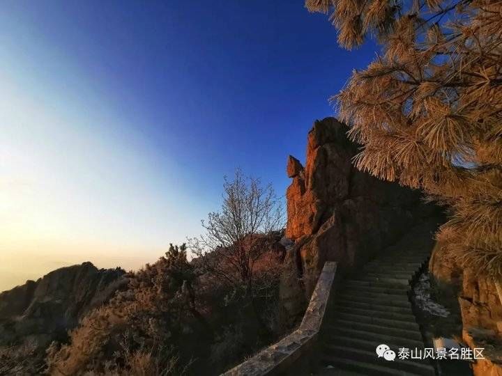 登泰山之巅，观云雾升腾铺陈成海，看云层姿态万千仿若画卷