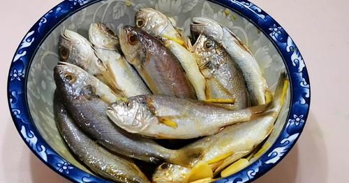 伏天|三伏天，再节约也要多吃“伏天5鲜”，为身体保驾护航，顺利过伏