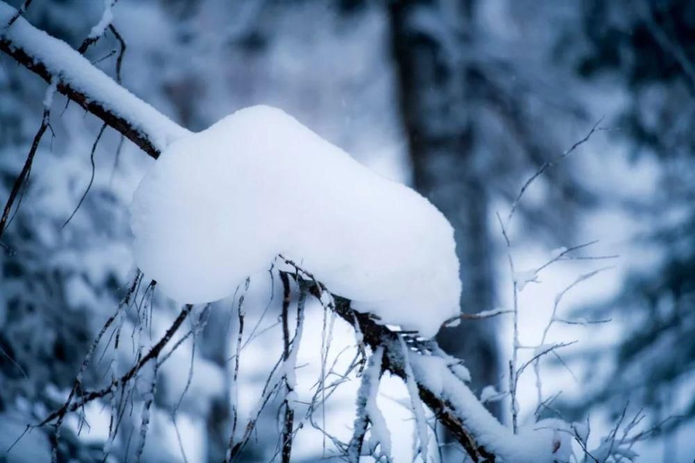 雪谷|?中国雪谷 一路穿行一路风景！