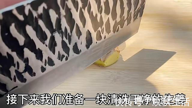 挥发油|扔葱根等于扔钱,葱根原来是个宝,作用这么厉害,太实用了