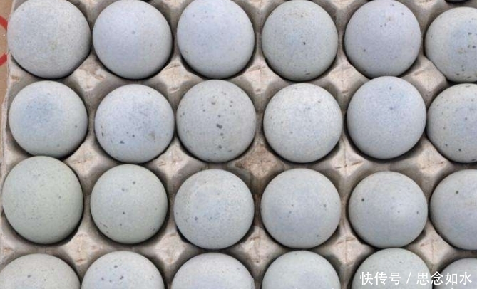  知识|日常吃的蛋对身体都有伤害？你不得不了解的吃蛋小知识