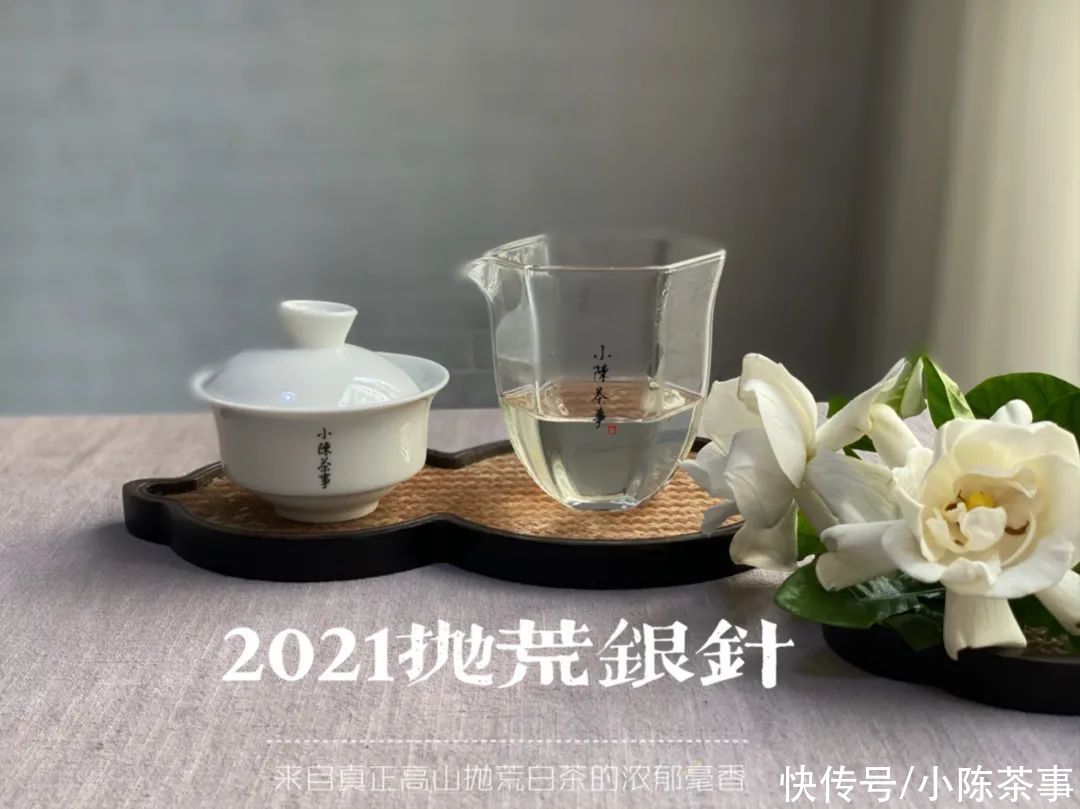 铁观音|煮茶、盲目追“老白茶”、紫砂壶冲泡，说说白茶新手的入门三板斧