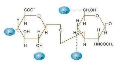 小可爱们|胶原蛋白VS玻尿酸,拿什么拯救这张不想衰老的脸
