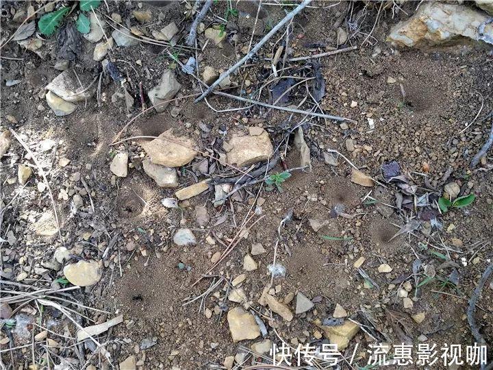 10个养花的坏习惯,赶紧改,不然真是浪费钱!