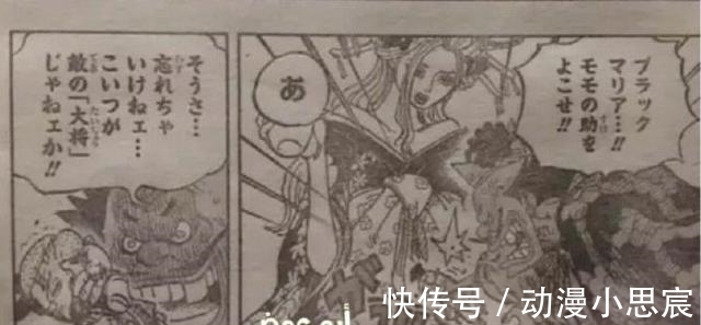 海贼王|《海贼王》982话图透,桃之助惨状公开,被堪十郎打得面目全非!