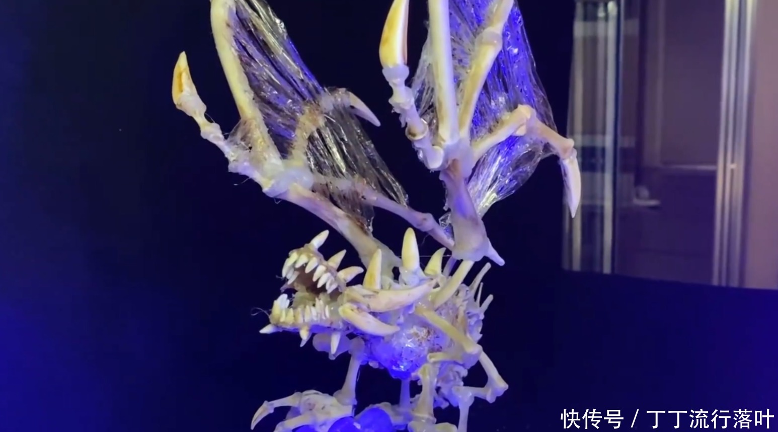 大神和菜鸟|手工大神啃完鸡鸭不要扔,裹上保鲜膜,钢铁直男馋哭了