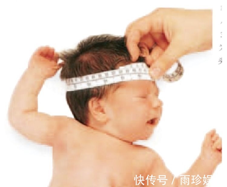 大头儿子|这种“头型”的孩子,自身携带“高个”基因,中了的父母偷着乐吧