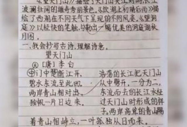 互联网时代|8岁女孩作业写成“印刷体”,爆红网络,网友:强迫症都被治好了