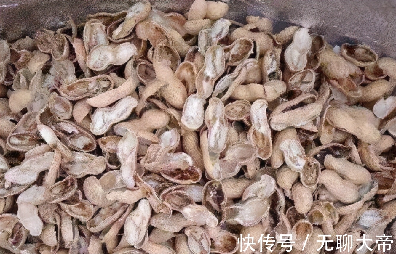 买的营养土不一定适合你,自己配土,自己找点材料,养啥旺啥