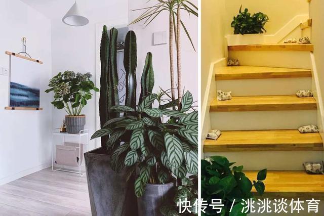 这些清洁“小妙招”，其实让你“事倍功半”，很多人还乐此不疲