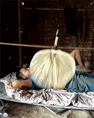 |搞笑GIF:在我们这,估计你一车西瓜是保不住了