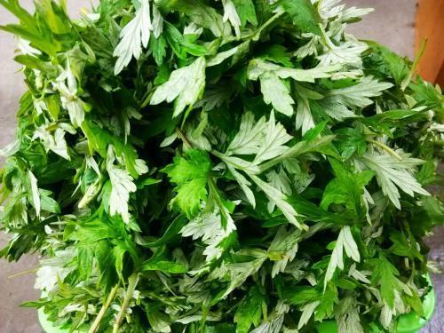 妇科病|妇科病的天敌算是找到了,女人常吃,睡眠好了,远离妇科病困扰