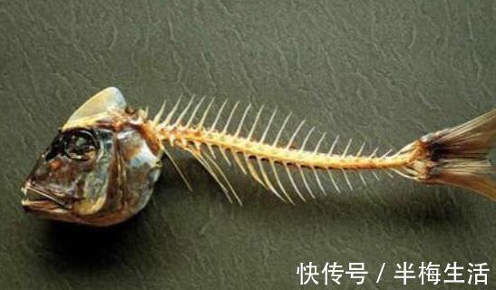 鱼刺|大家肯定都有过吃鱼被鱼刺卡住的情况吧！5个小妙招教你缓解！