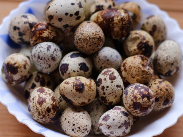 鹌鹑蛋|天然的“增高剂”找到了,父母平时多让孩子吃,或能让孩子长高个