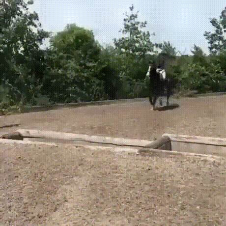 |搞笑GIF段子:原来妹子穿高跟鞋不仅仅是为了增高,还有这个用途啊