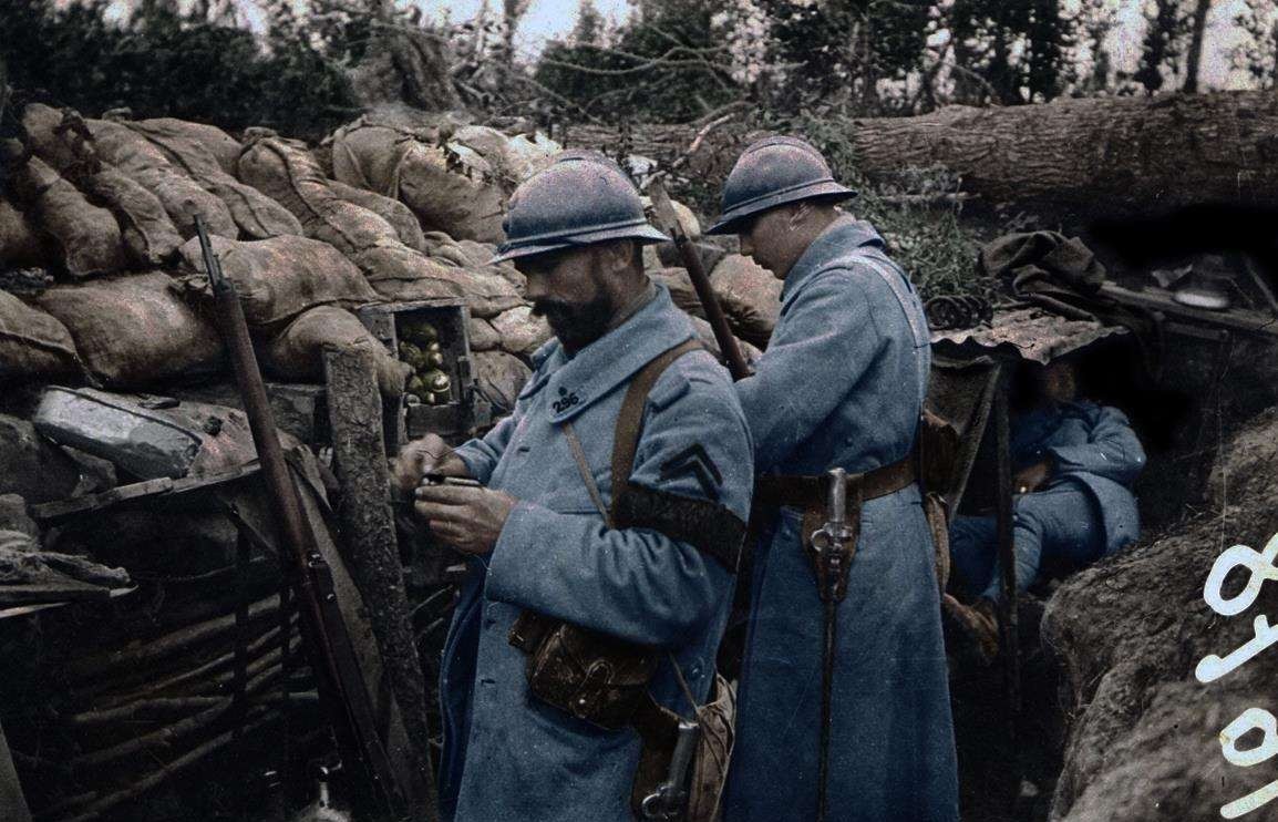 法军|漂亮波斯猫惹一大祸,经常晒太阳暴露主人的位置,被德军乱炮轰死