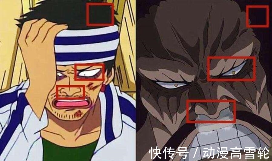 阿金|海贼王:在海迷帮助下,这两人弄清了身份,也找到了爸妈