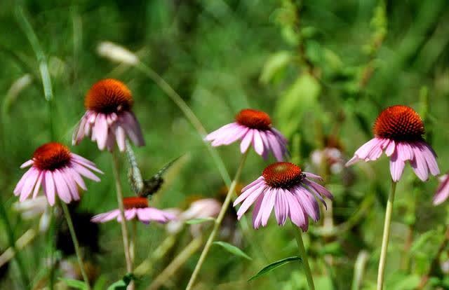 思念$守一座心城,想你到老