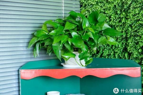 异味|新房子装修后,怎么去甲醛和异味,很多人第一步就做错了!