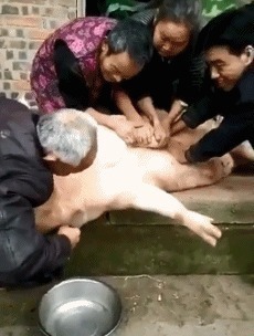 |搞笑GIF：从那一刻我就知道你并不是来买车的！