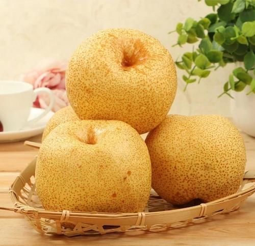 山药|冬天常吃的6种滋补食物,常吃的人,身体都不会太差!你吃了吗?