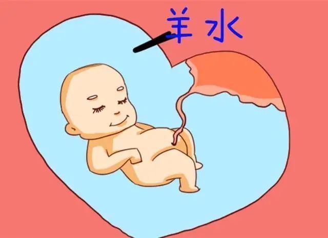 胎动|胎儿在孕妈肚子里抖动是怎么回事可不是你以为的胎动，别弄错了