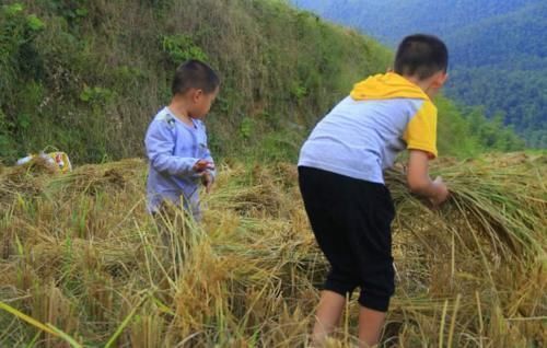 孙女|穷娃和富孩子的差别,20块钱能买什么?孩子的回答一目了然