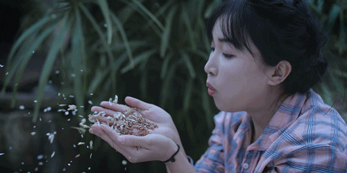 一物一生，吃完萝卜，一生系列就停在这里了吧