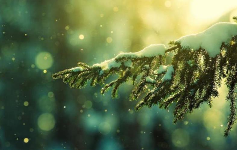 李商隐|唐诗中最有禅意的一场雪,来自李商隐,无一生僻字却美得令人心醉