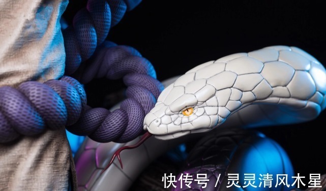 特写|火影大蛇丸双通灵兽手办,万蛇瞳孔栩栩如生,白磷大蛇造型亮眼