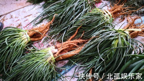 此菜全身都是宝,可惜好多人当草,肠胃不好多吃点,蒸一蒸特香!