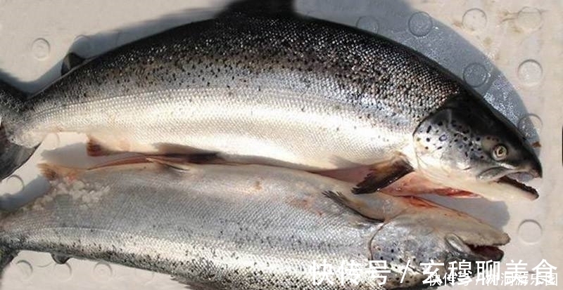 脂肪酸|得了“脂肪肝”别怕,多吃3种食物,脂肪“跑”的快,肝会更健康