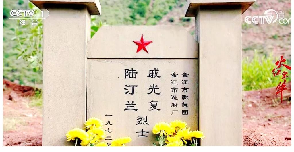 陸汀蘭|火紅年華：汀蘭與光復(fù)下線了？太突然了！沒有一點(diǎn)征兆，孩子咋辦