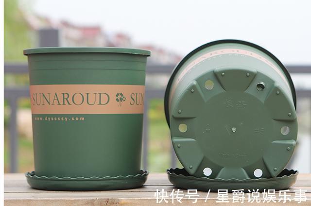 花草|6种花盆,不适合养花,难怪长势不好,扔了吧
