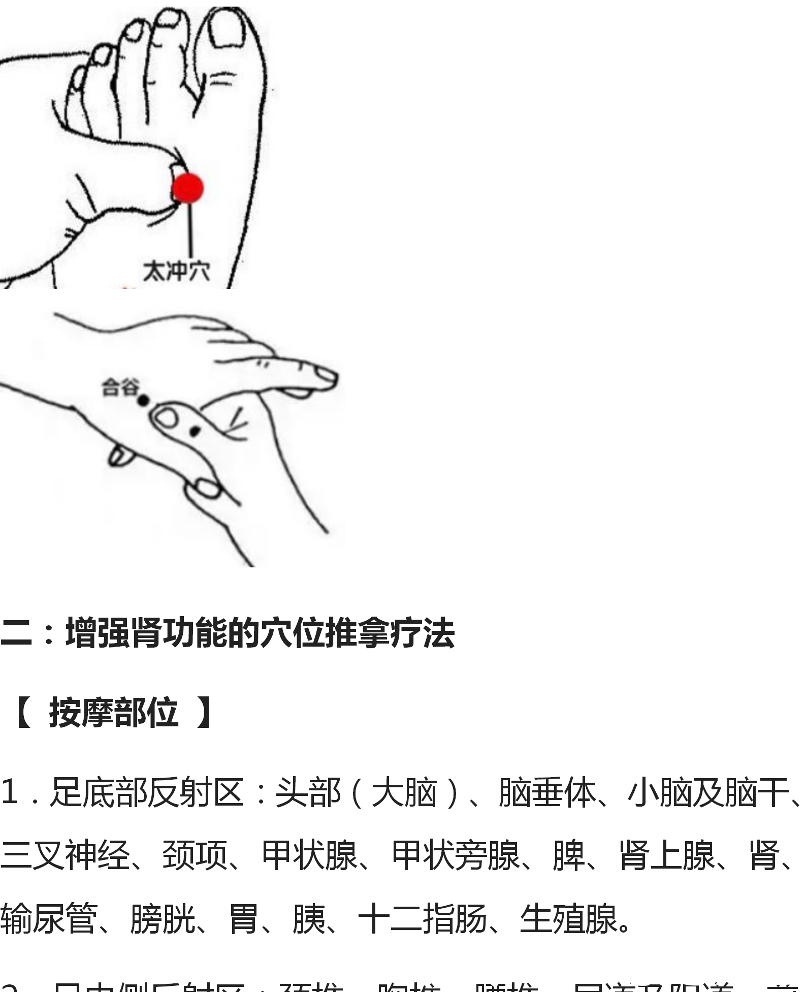 中医养生：探索自然的智慧