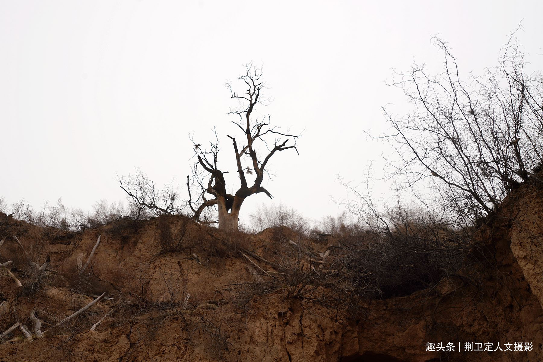 照壁$300年举人老宅藏有密室暗道,农民大叔不曾使用,落下后悔事