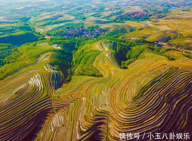 梯田|航拍山东日照五莲县梯田 色彩层叠宛如大地调色盘