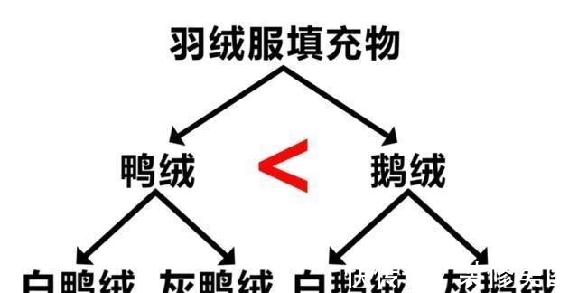 网上挑选羽绒服有诀窍,掌握几个小窍门,羽绒服蓬松保暖又好看!