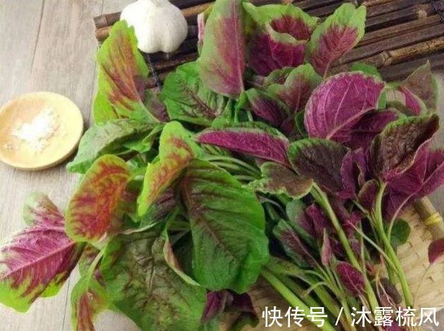 毒素|这些蔬菜含有5种毒素,切记煮熟再吃!避免3个误区,更营养更健康