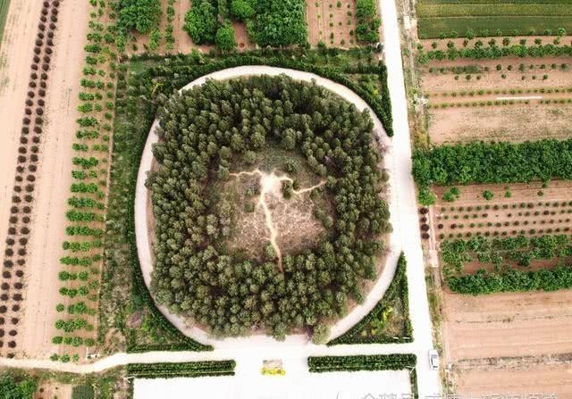 航拍|航拍三原唐敬宗李湛庄陵:所有翁仲都无头,枪毙俩人至今未破案