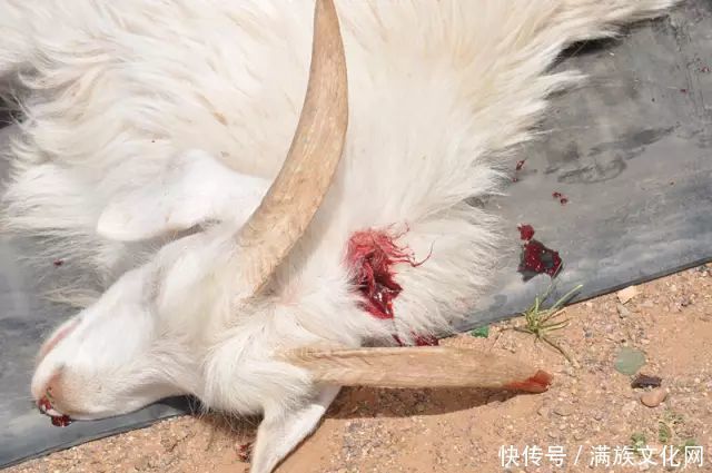 苏尼特式石头烤全羊——列入第五批自治区级非物质文化遗产名录