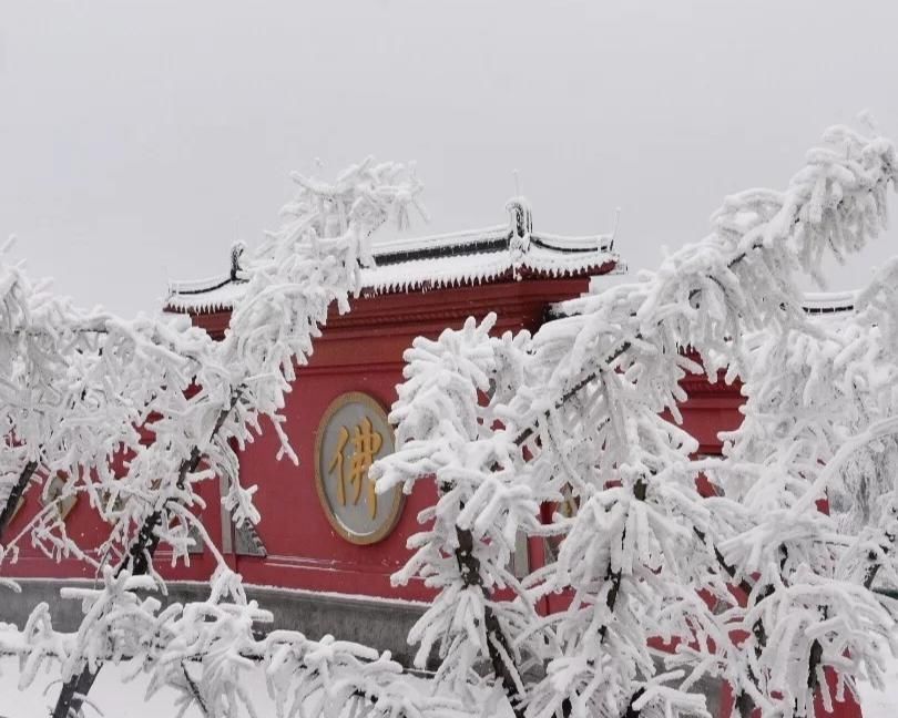 1小时飙拢！去重庆看雪！云海雪山森林，下山还能泡温泉！