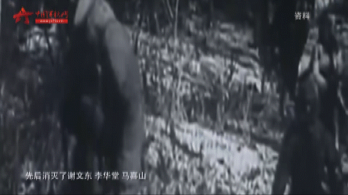 姜乃明|94岁老兵姜乃明：与杨子荣并肩剿匪 大年三十血战“黄草岭”