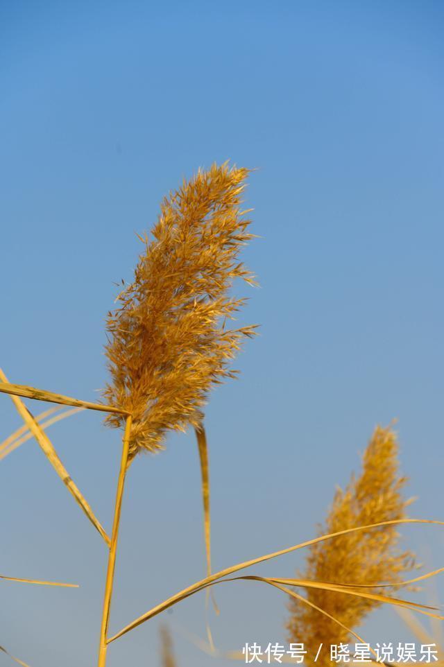 新龙门客栈|四天玩嘉峪关，除了大漠孤烟，我还发现了绿洲